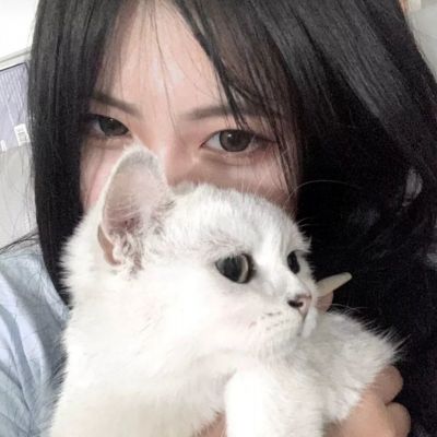 龙之霸业商城gm版下载